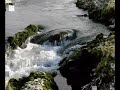 ANAMA GURBAN OLUM , HANI ADAGLIM HANI ANAMA GURBAN OLUM , HANI ADAGLIM HANI