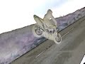 Hornet Arr�bida 26-11-2006