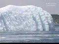 Icebergs Sampler