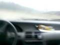 Mosca rally