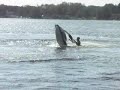 freestyle jet ski