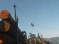 Setting chokers logging and trucking