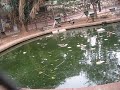 MVI_4233.avi