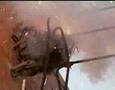 Critters 2: The Main Curse (1988) - Trailer (en)