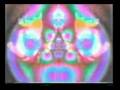 Terence Mckenna - Alien Dreamtime Pt 5/5