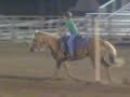 me pole bending on goldi! me pole bending on goldi!