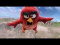 The Angry Birds Movie (2016) - Peter Dinklage, Bill Hader Movie HD wallpaper