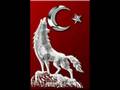 Ben bu vatanin n�betcisiyim