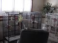 Snowball - Another One Bites The Dust