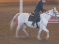 Clear round med Ramadja