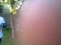 videos de Baby vs negro Box Azteca