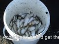 Crabbing in Tuckerton, New Jersey