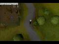 level one clue scroll 10