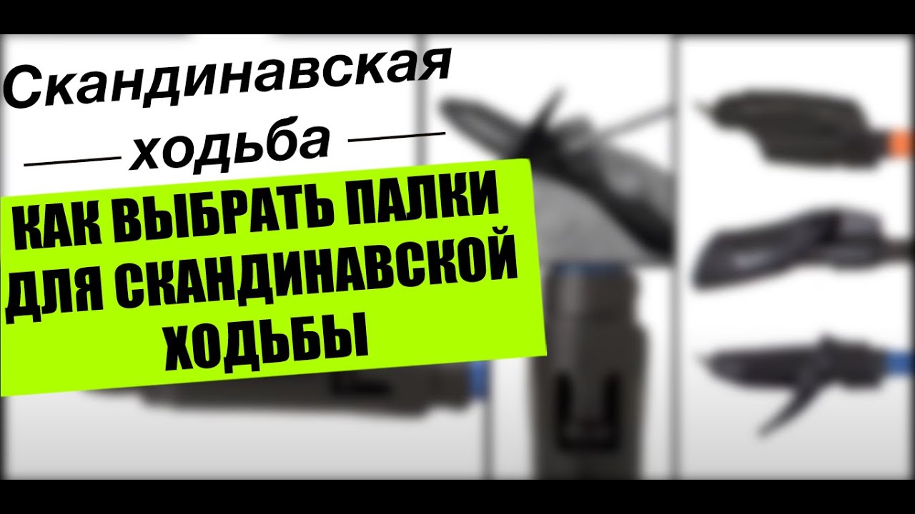 Как выбрать палки для скандинавской ходьбы