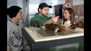 De visita en el mercado de La Viga - Sazónarte De visita en el mercado de La Viga - Sazónarte