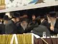 belz vizniys bar mitzva