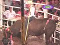 TORNEO DE A GRAPA EN IGUALA,GRO TORNEO DE A GRAPA EN IGUALA,GRO