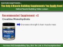 Muscle Building Supplements