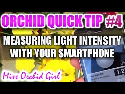 how to measure light intensity