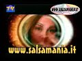 DAN DEN SI LA MULATA TE PIDE MOVIMIENTO VIDEO CLIP 2007