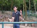 zoo negara volunteer.wmv