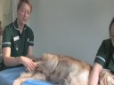 Physio 1