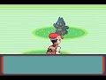 ポケットモンスター パール動画