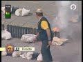 Fallas de Valencia 2010 – Pirotecnia Zarzoso (Feuerwerk, Fireworks, Pyrotechnik)