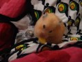 Chmurka\ Chmurka\