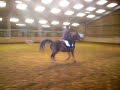 Quenola & Moi 1er concours hors club CSO 22/11/09 4 points