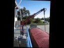 Cales Cranberryland Job
