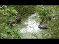 Torrent du Baou Torrent du Baou