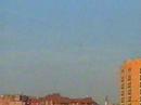 buitre
