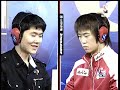 iris vs yellow name   cultivation period tvz
