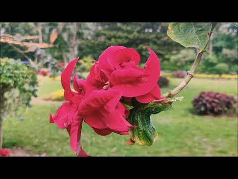 ISEC Bangalore Academic Building video thumbnail 1