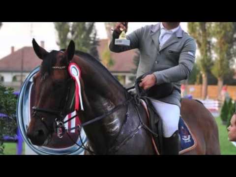 Kis Grofó- Szuhai Gyurinak