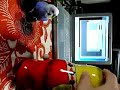 matryomin vs parrot