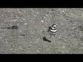 Killdeer Scandal: Fakes Injury to Collect Insurance