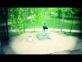 Шамиль Бровары паркур фриран Shamil Brovary parkour freerun 2011