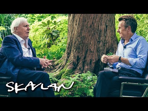 Video | Interview met Attenborough (jaar geleden opgenomen)