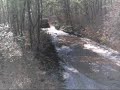 Jeepin\ Jeepin\