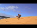 Sandboarding in Opononi