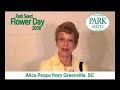 Park Seed Flower Day 2008: Alice Peace