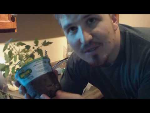 how to plant throw n grow