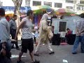 blind performance