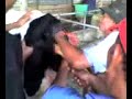 Melahirkan Sapi...