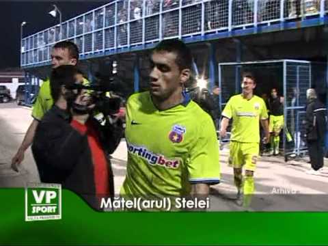 Mățel(arul) Stelei