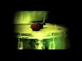 Baroque La Regina Nera Official Music Video and Lyrics