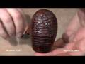 pipa Ascorti 188 - smoking pipes