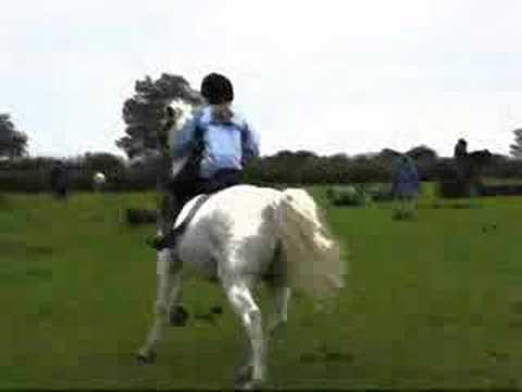 ponyriding
